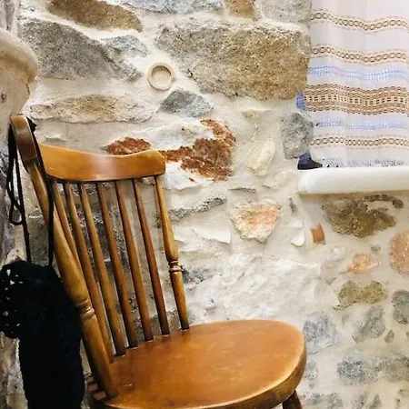 Apartment Sofia's Cozy Traditional Downtown